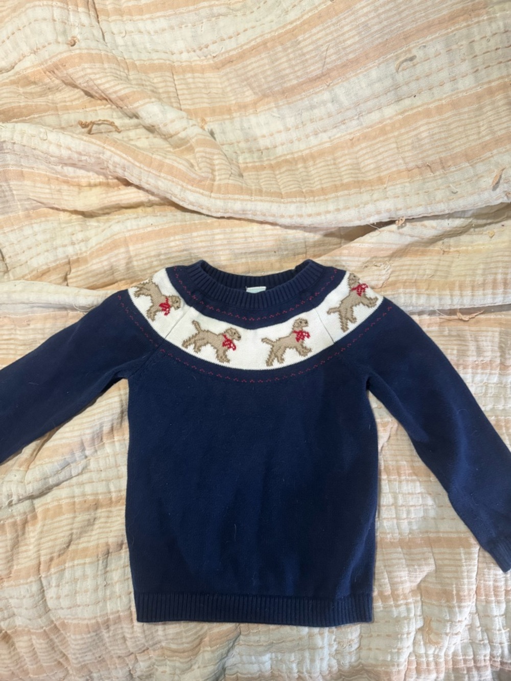Edgehill Collection Labrador sweater